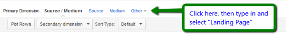 Change Your Primary Dimension to Landing Page
