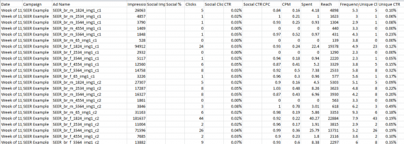 Facebook Advertising Performance Report