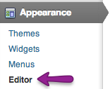 WordPress Appearance