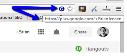 Google Plus canonical tag