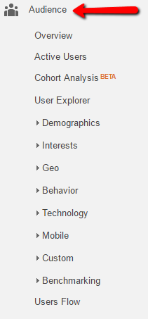 Google Analytics Audience Data