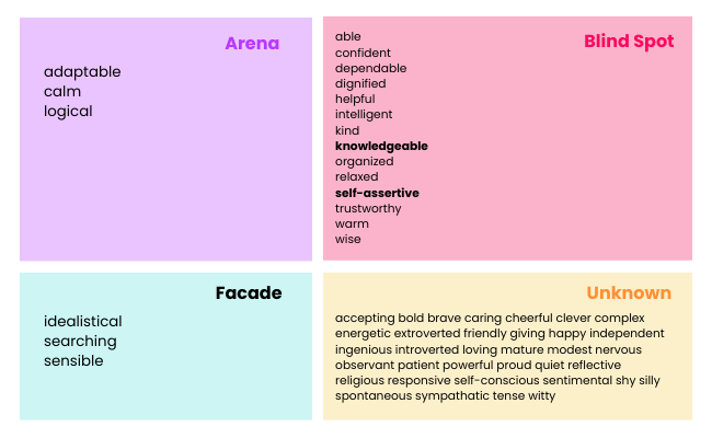 Johari Window to improve your meetings