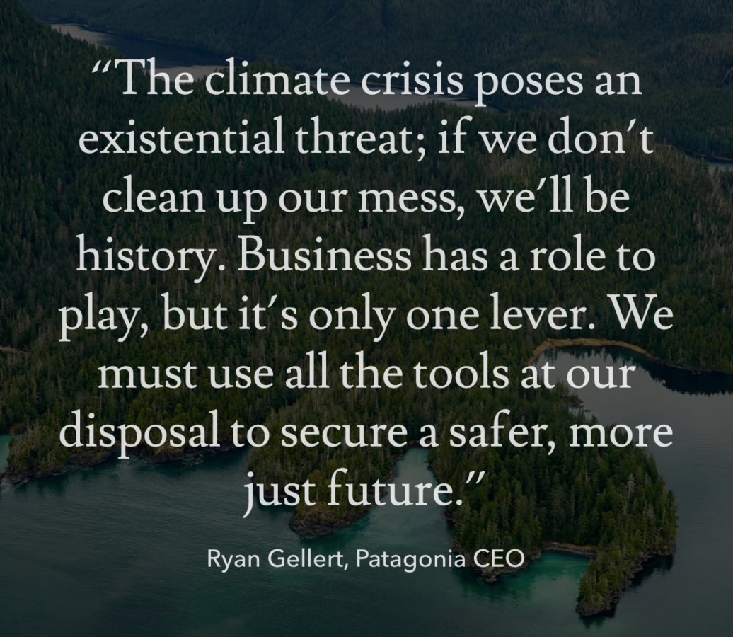 Screenshot from Patagonia website. There is an image of a dense forest on a mountain surrounded by a clear body of water. In front of this image is white text, “‘The climate crisis poses an existential threat; if we don’t clean up our mess, we’ll be history. Business has a role to play, but it’s only one lever. We must use all the tools at our disposal to secure a safer, more just future.