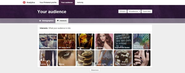 Pinterest-Analytics-Your-Audience