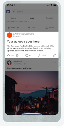 Reddit Promoted Text Post
