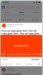 Promoted Video on Reddit