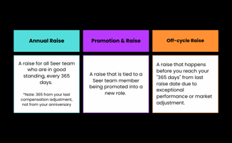 seer-salary-raise-types